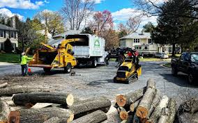Best Firewood Processing and Delivery  in Dansville, NY