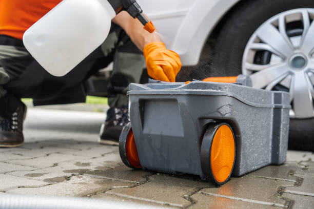 Best Utility Line Clearance  in Dansville, NY